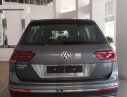 Volkswagen Tiguan Allspace 2018 - Bán Volkswagen Tiguan Allspace sản xuất năm 2018, màu xám, nhập khẩu