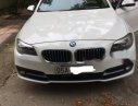 BMW 5 Series   520i AT 2014 - Bán BMW 5 Series 520i AT sản xuất 2014, màu trắng, nhập khẩu nguyên chiếc như mới