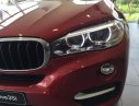 BMW X6 2018 - Bán xe BMW X6 sản xuất 2018