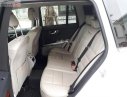 Mercedes-Benz GLK Class 300 2010 - Bán Mercedes GLK300 đời 2010, màu trắng, xe nhập  