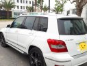 Mercedes-Benz GLK Class 300 2010 - Bán Mercedes GLK300 đời 2010, màu trắng, nhập khẩu, giá tốt