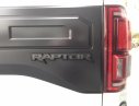 Ford F 150 2019 - Bán siêu bán tải Ford F150 Raptor 2020 giá tốt, giao ngay, LH 0945.39.2468 Ms Hương