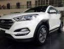 Hyundai Tucson 2019 - Bán xe Hyundai Tucson sản xuất năm 2019, màu trắng