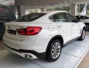 BMW X6 xDrive35i 2018 - BMW Phú Mỹ Hưng bán BMW X6 xDrive35i sản xuất 2018, xe mới 100%