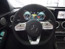 Mercedes-Benz C class C300 2019 - Bán Mercedes C300 hoàn toàn mới 2020, giao ngay, ưu đãi cực tốt