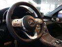 Mercedes-Benz C class C300 2019 - Bán Mercedes C300 hoàn toàn mới 2020, giao ngay, ưu đãi cực tốt
