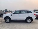Ford Everest   2019 - Bán ô tô Ford Everest sản xuất 2019, màu trắng, xe nhập