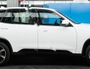 Jonway Global Noble   2019 - Bán ô tô VinFast LUX A2.0 sản xuất 2019, xe mới, đủ màu