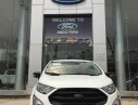 Ford EcoSport 1.5 Ambient AT 2019 - Chỉ với hơn 500tr sở hữu ngay chiến binh đường phố Ford Ecosport 2019. Hỗ trợ trả góp cao. LH 0974286009
