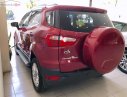 Ford EcoSport Titanium 1.5L AT 2015 - Bán xe Ford EcoSport Titanium 1.5L AT sản xuất năm 2015, bản full options