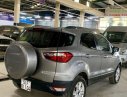 Ford EcoSport AT 2015 - Bán Ford EcoSport sản xuất năm 2015, màu bạc, xe chính chủ