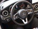 Mercedes-Benz C class C300 2019 - Bán Mercedes C300 hoàn toàn mới 2020, giao ngay, ưu đãi cực tốt