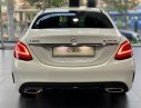 Mercedes-Benz C class C300 2019 - Bán Mercedes C300 hoàn toàn mới 2020, giao ngay, ưu đãi cực tốt