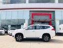 Mitsubishi Pajero   2019 - Bán xe Mitsubishi Pajero đời 2019, xe nhập, xe mới 100%