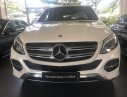 Mercedes-Benz GLE-Class GLE400 Exclusive 2017 - Bán Mercedes GLE400 Exclusive 2017 màu trắng, nội thất nâu, nhập khẩu 100%. LH: 0903 333 580