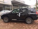 Toyota Land Cruiser 2019 - Cần bán xe Toyota Land Cruiser đời 2019, màu đen, nhập khẩu nguyên chiếc