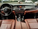 BMW 5 Series 528i 2015 - Bán xe BMW 5 Series 528i sản xuất năm 2015 đời 2016, nhập khẩu nguyên chiếc