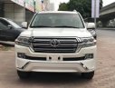 Toyota Land Cruiser VX-R 4.6 2019 - Giao ngay Toyota Land Cruiser VX-R 4.6 2019, giá tốt nhất thị trường, xe có sẵn, liên hệ em Sơn: 0868 93 5995