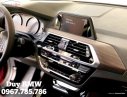 BMW X4 2019 - Bán xe BMW X4 năm sản xuất 2019, màu đỏ, một chiếc xe hoàn toàn phá cách