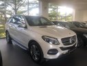 Mercedes-Benz GLE-Class GLE400 Exclusive 2017 - Bán Mercedes GLE400 Exclusive 2017 màu trắng, nội thất nâu, nhập khẩu 100%. LH: 0903 333 580