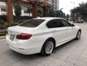 BMW 5 Series  520i 2014 - Bán BMW 5 Series 520i 2014, màu trắng