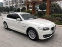 BMW 5 Series  520i 2014 - Bán BMW 5 Series 520i 2014, màu trắng