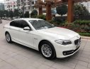 BMW 5 Series 520 2015 - Bán BMW 5 Series 520 đời 2015, màu trắng, xe nhập như mới