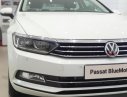 Volkswagen Passat Blue Motion 2018 - Bán Volkswagen Passat Blue Motion - trắng