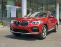 BMW X4 xDrive20i 2018 - Bán BMW X4 mới - chưa đăng ký