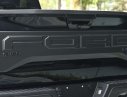 Ford F 150 Raptor 2019 - Cần bán xe Ford F 150 Raptor full option đời 2019, màu đen, xe nhập Mỹ. Hỗ trợ 3 tỷ ngân hàng. Lh 093.798.2266