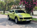 Porsche Cayenne 2016 - Bán Porsche Cayenne đời 2017, màu xanh lục, nhập khẩu