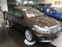 Suzuki Ciaz 2019 - Bán xe Suzuki Ciaz năm sản xuất 2019, màu nâu, nhập khẩu, 455tr