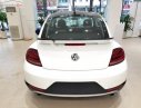 Volkswagen Beetle Dune 2018 - Bán Volkswagen Beetle Dune màu trắng, nhập khẩu nguyên chiếc từ châu Âu