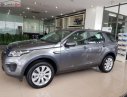 LandRover Discovery Sport SE 2019 - Bán ô tô LandRover Discovery Sport SE đời 2019, màu xám, xe có sẵn giao ngay