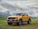 Ford Ranger Wildtrack 2019 - Bán ô tô Ford Ranger Wildtrack 2019, xe nhập, giá chỉ 918 triệu
