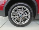 BMW X4 xDrive20i 2018 - Bán BMW X4 xDrive20i 2018, màu đỏ, nhập khẩu nguyên chiếc