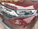 Honda CR V   2019 - Bán Honda CR V đời 2019, màu đỏ, xe nhập, giá chỉ 983 triệu