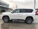 Toyota Land Cruiser Prado VX 2019 - Bán Toyota Land Cruiser Prado mới 100%, NK Nhật Bản, giá tốt, LH 0942.456.838