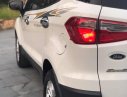 Ford EcoSport 2017 - Bán xe ô tô Ecosport 2017, xe rất đẹp, có bảo hành