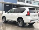 Toyota Land Cruiser Prado VX 2019 - Bán Toyota Land Cruiser Prado mới 100%, NK Nhật Bản, giá tốt, LH 0942.456.838