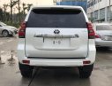 Toyota Land Cruiser Prado VX 2019 - Bán Toyota Land Cruiser Prado mới 100%, NK Nhật Bản, giá tốt, LH 0942.456.838