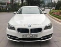 BMW 5 Series 520i 2014 - Cần bán BMW 520i sản xuất 2014 màu trắng kem cửa hít, biển TP, xe 1 chủ từ đầu nên rất giữ gìn