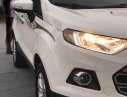 Ford EcoSport 2017 - Bán xe ô tô Ecosport 2017, xe rất đẹp, có bảo hành