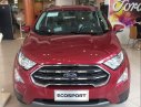 Ford EcoSport  1.0L AT Titanium 2019 - Bán Ford EcoSport năm sản xuất 2019, màu đỏ