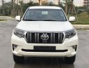 Toyota Land Cruiser Prado VX 2019 - Bán Toyota Land Cruiser Prado mới 100%, NK Nhật Bản, giá tốt, LH 0942.456.838