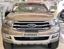 Ford Everest 2.0L Single Turbo Ambiente MT 2019 - Ford Everest New 2019 nhập khẩu Thái Lan, xe giao ngay đủ màu, giá ưu đãi, tặng kèm quà tặng giá trị Hotline: 0938.516.017