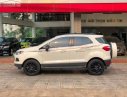 Ford EcoSport Titanium BE 2018 - Bán ô tô Ford EcoSport Titanium BE sản xuất năm 2018, màu trắng như mới