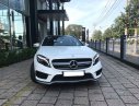 Mercedes-Benz GLA-Class GLA45 2015 - Bán Mercedes GLA45 lướt chính hãng (Mercedes Trường Chinh)