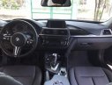 BMW 3 Series  320i 2017 - Bán xe BMW 3 Series 320i sản xuất 2017, nhập khẩu chính chủ