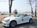 Mercedes-Benz SLK class 280 2007 - Bán Mercedes năm 2007, màu trắng, nhập khẩu nguyên chiếc giá cạnh tranh